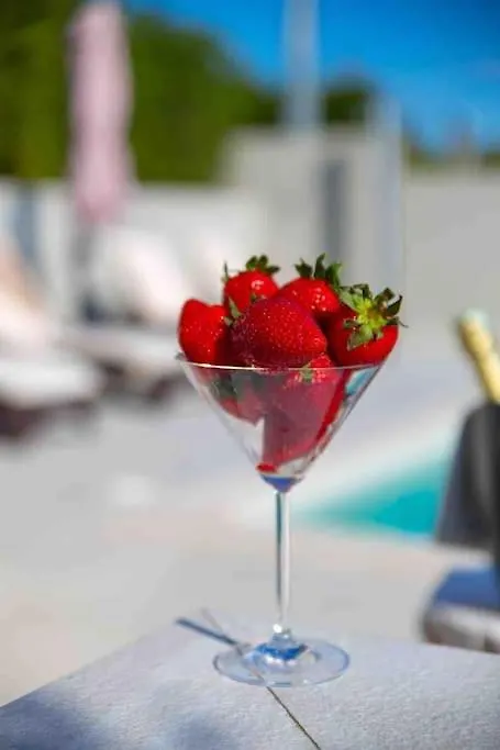 Srok Luxury Apartment With Pool Kastav Croatia